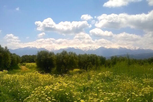 view of Crete countryside and mountains from Aptera